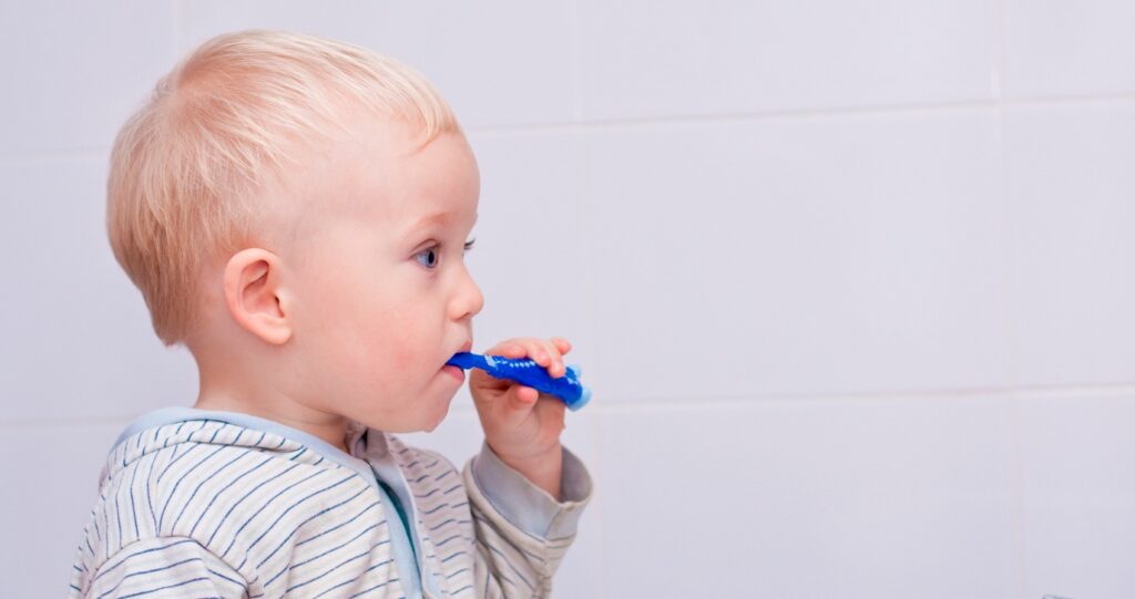 Toddler boy, about 18-24 months, brushes his teeth.